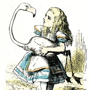 Alice holding a flamingo, who looks at her