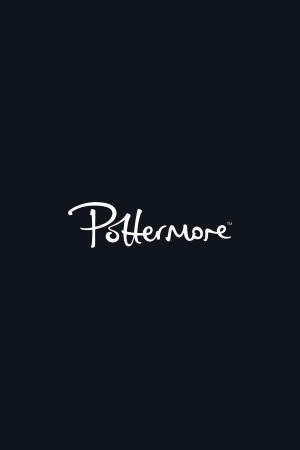 Pottermore Reviews - 4 Reviews of Pottermore.com