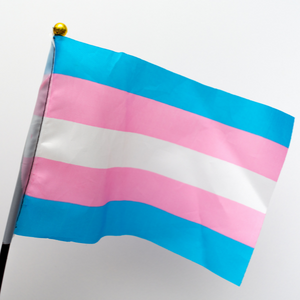 Transgender flag