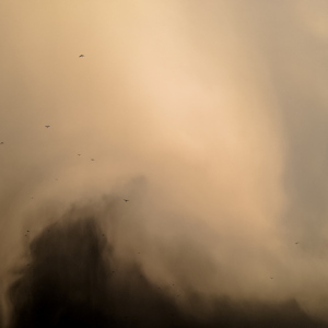 Brown dust cloud