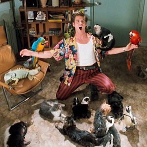 Ace Ventura kneeling in his apartment with animals all around him.