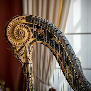 Close up of a harp.
