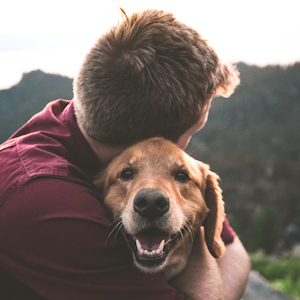 Golden retriever looking at camera while being hugged by a man