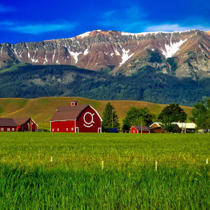 Red barns in the midground with green farmland in the foreground and snowy mountains and blue sky in the background