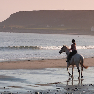 Horseback riding on the beach