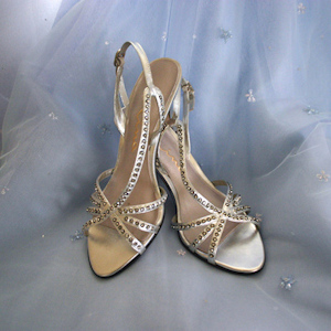 Fancy heels sitting on a chiffon background.