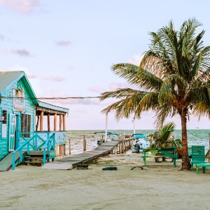 Blue house on the beach with a dock and a palm tree