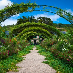 A pathway in a garden with a rounded terrace overhead