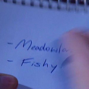 A bulleted list on a notepad that only says "-Meadowlark -Fishy"