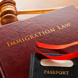 A gavel, passport, and book that says "immigration law"