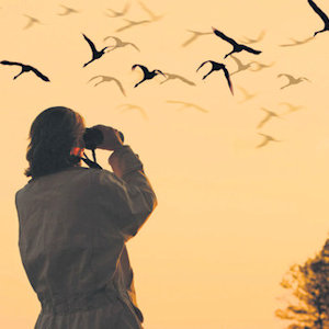 A woman using binoculars to bird watch