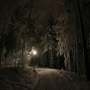 A dark winter road lit only by one streetlight