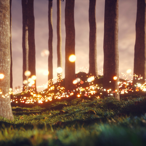 A forest of tree trunks with glowing lights all around near the ground