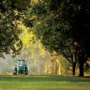 A pecan tree and farming equipment to shake the trees