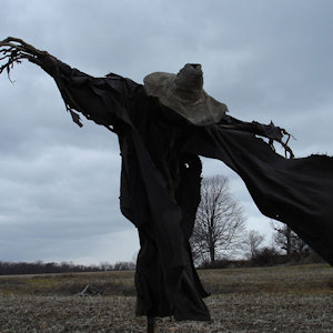 Field with a black-cloth drapped scarecrow wearing a straw hat