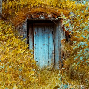 A wooden door surrounded by autumn foliage