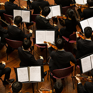 Members of a symphony playing instruments