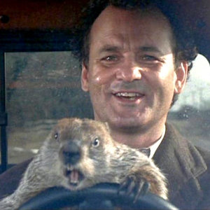 Bill Murray with a groundhog driving from Groundhog Day