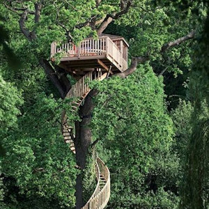 A treehouse with a winding staircase around the trunk.