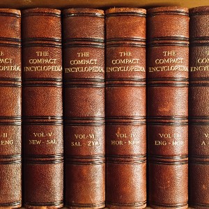 A row of brown leather encyclopedias on a shelf