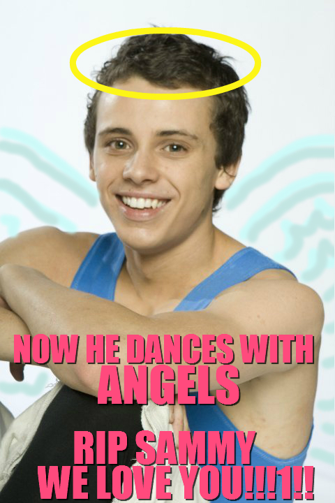 A photo of Sammy, with a halo and wings drawn on him, that says: "Now he dances with angels. RIP Sammy. We love you!"