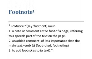 A footnote describing footnotes in a book