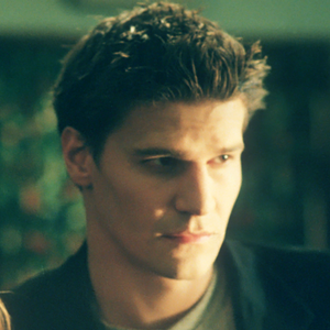 David Boreanaz as Angel (Buffy the Vampire Slayer)