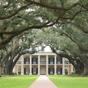A white southern plantation sits at the end of a walkway through an arch of trees