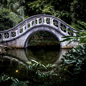 A stone bridge over a still pond in a forest