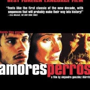 Movie Poster for Amores Perros