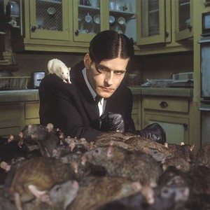 Scene from WIllard, a creepy man with a center part surrounded by rats