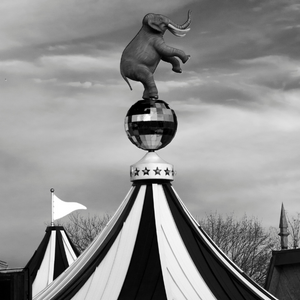 An elephant balancing on a ball on top of a big top tent.