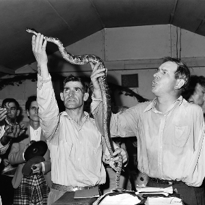 B&W image of two men holding a snake in a crowded church