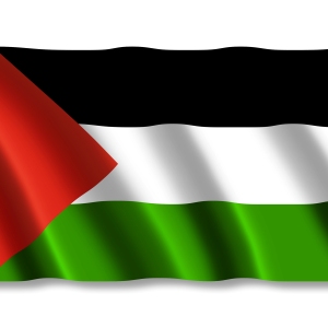 Palestine flag