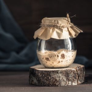 A sourdough starter in a glass jar covered with a cloth sitting on a cut piece of tree trunk.